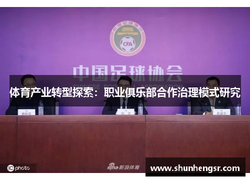 体育产业转型探索：职业俱乐部合作治理模式研究